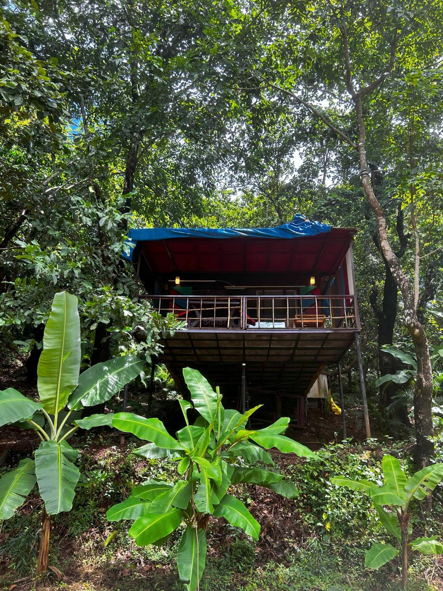 מלון Cola Samyama Retreat מראה חיצוני תמונה
