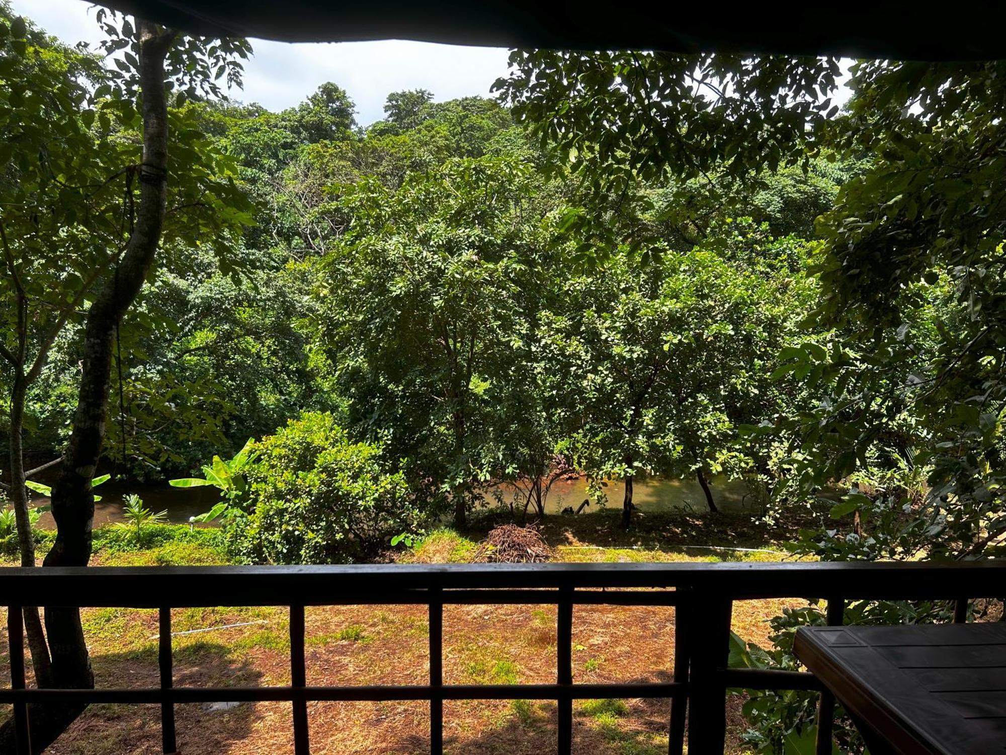 מלון Cola Samyama Retreat מראה חיצוני תמונה