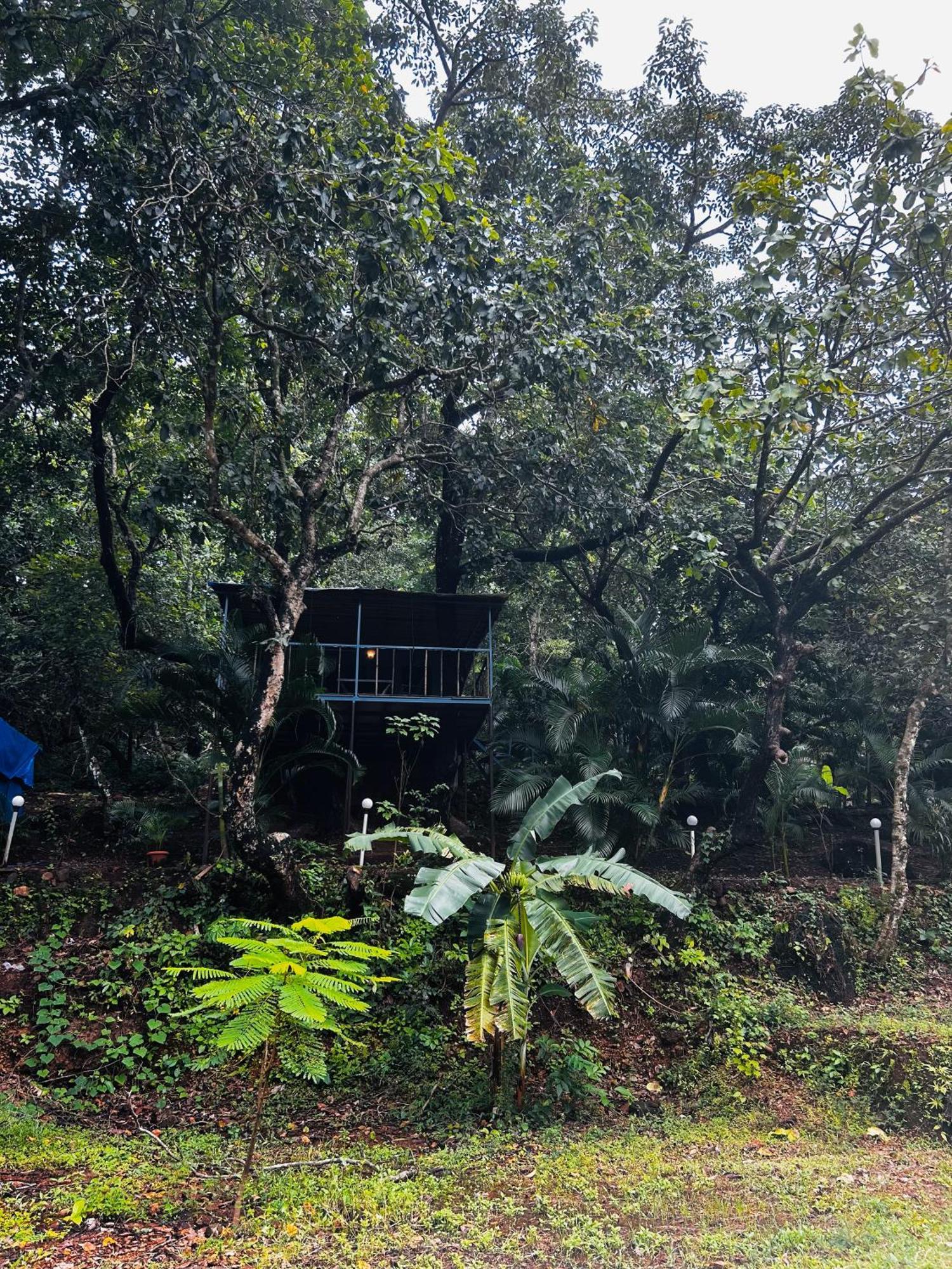 מלון Cola Samyama Retreat מראה חיצוני תמונה