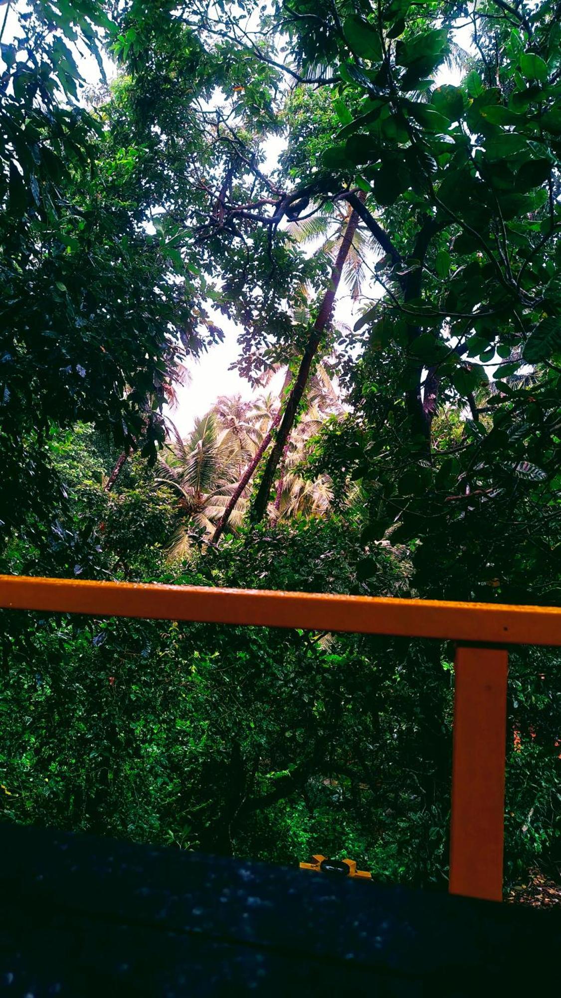 מלון Cola Samyama Retreat מראה חיצוני תמונה