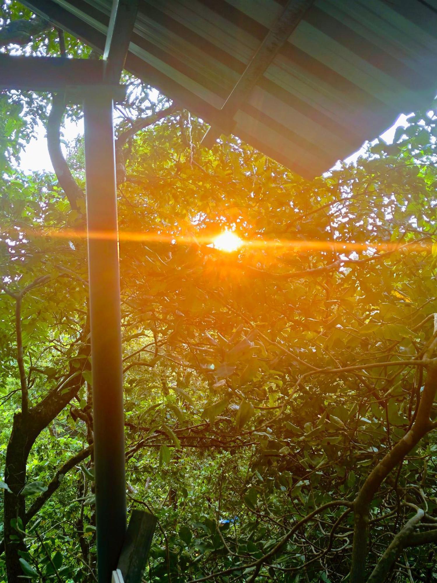 מלון Cola Samyama Retreat מראה חיצוני תמונה